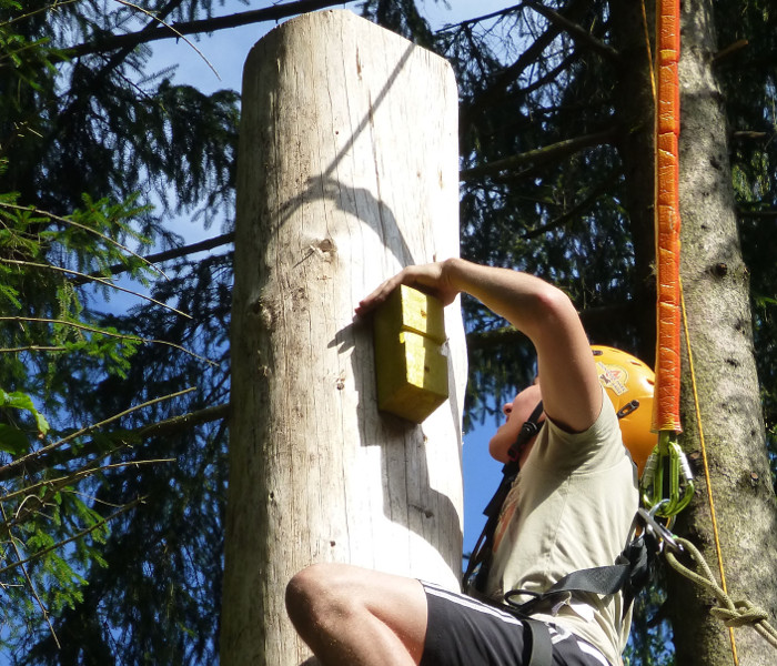 High Pamper Pole 