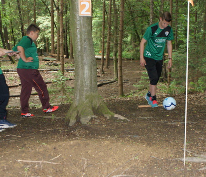 Wald Soccer Golf 